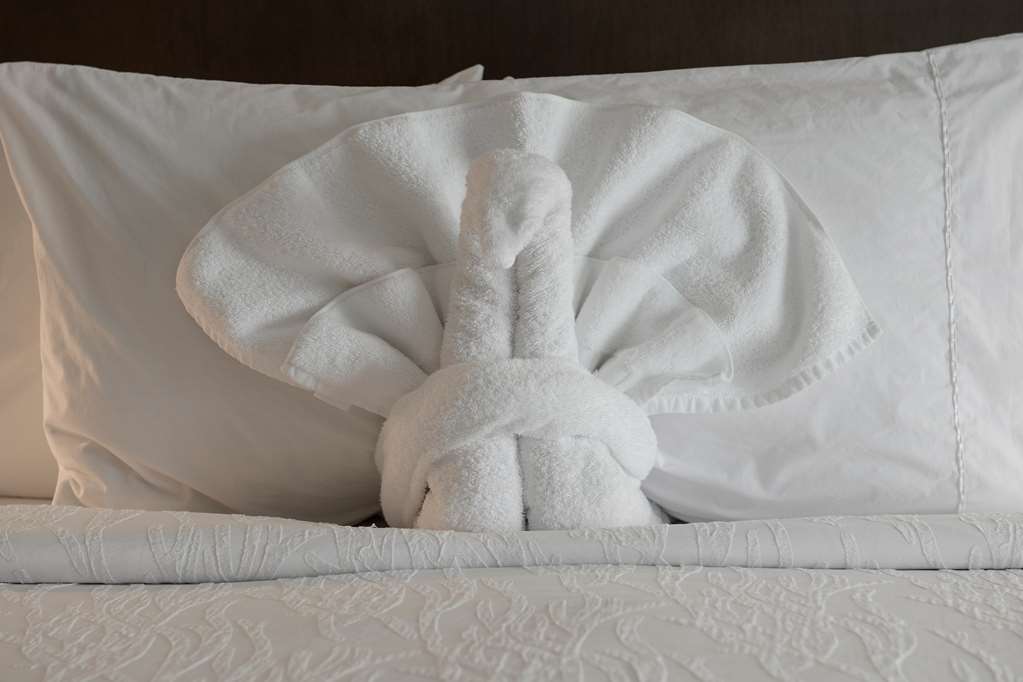 Hilton Garden Inn Louisville Mall Of St. Matthews Facilidades foto